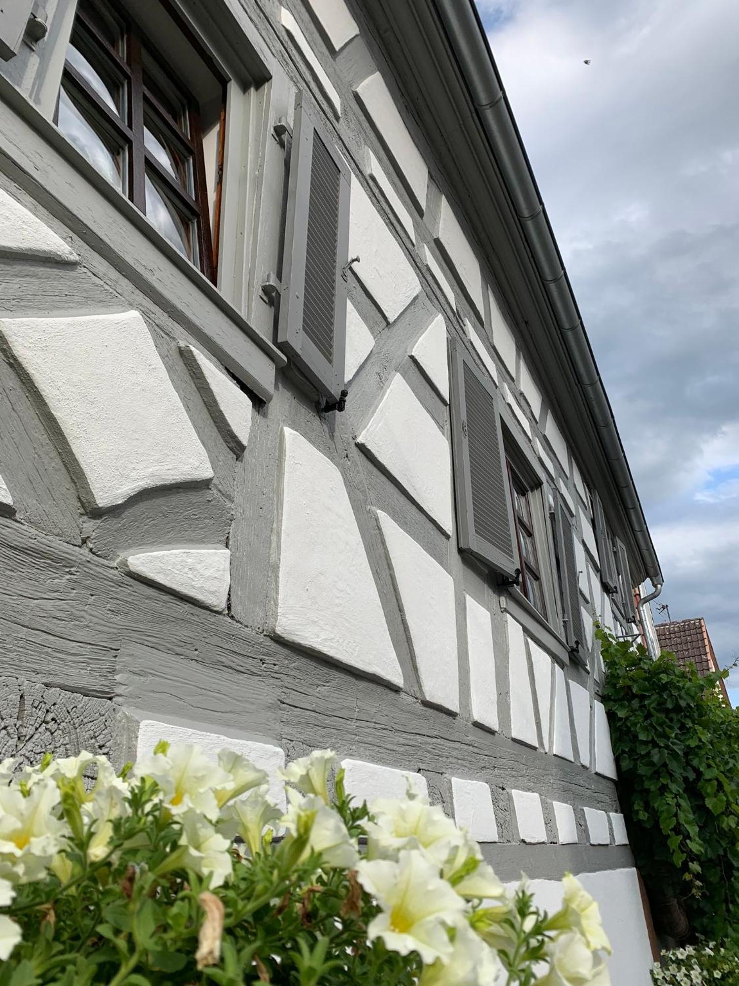 Ferienwohnung Sambachhaus Gleiszellen-Gleishorbach Zewnętrze zdjęcie