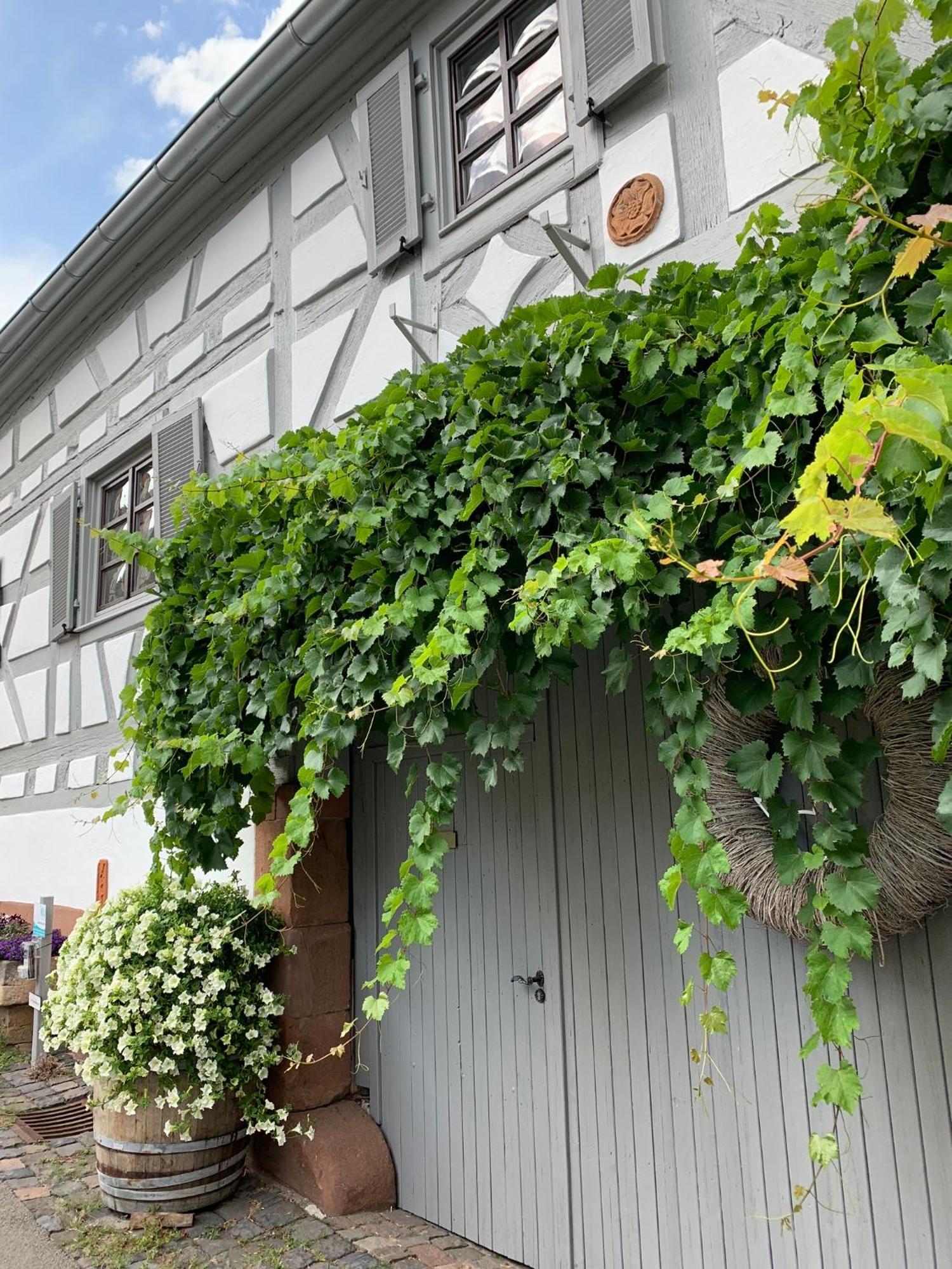 Ferienwohnung Sambachhaus Gleiszellen-Gleishorbach Zewnętrze zdjęcie